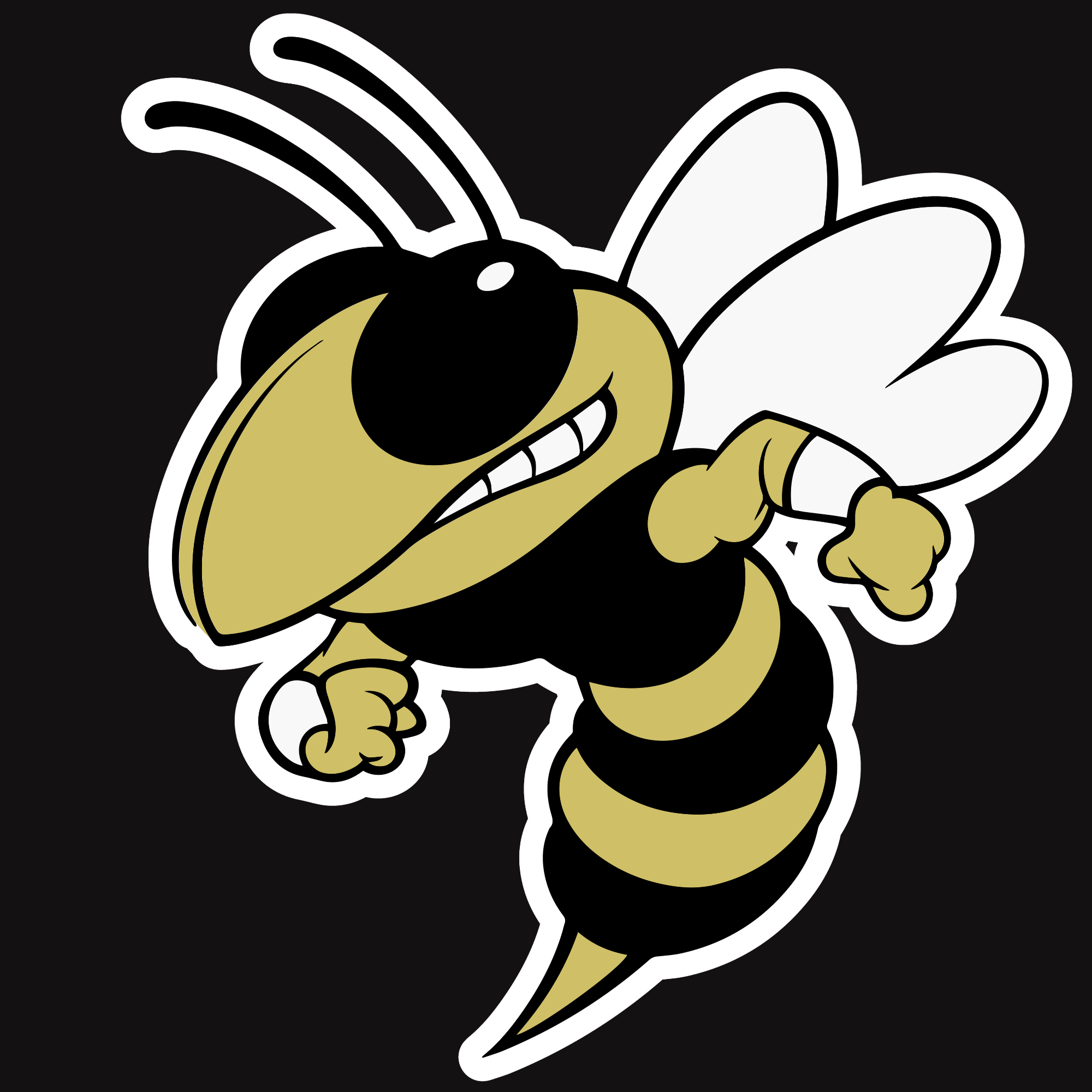 Stinger Decal