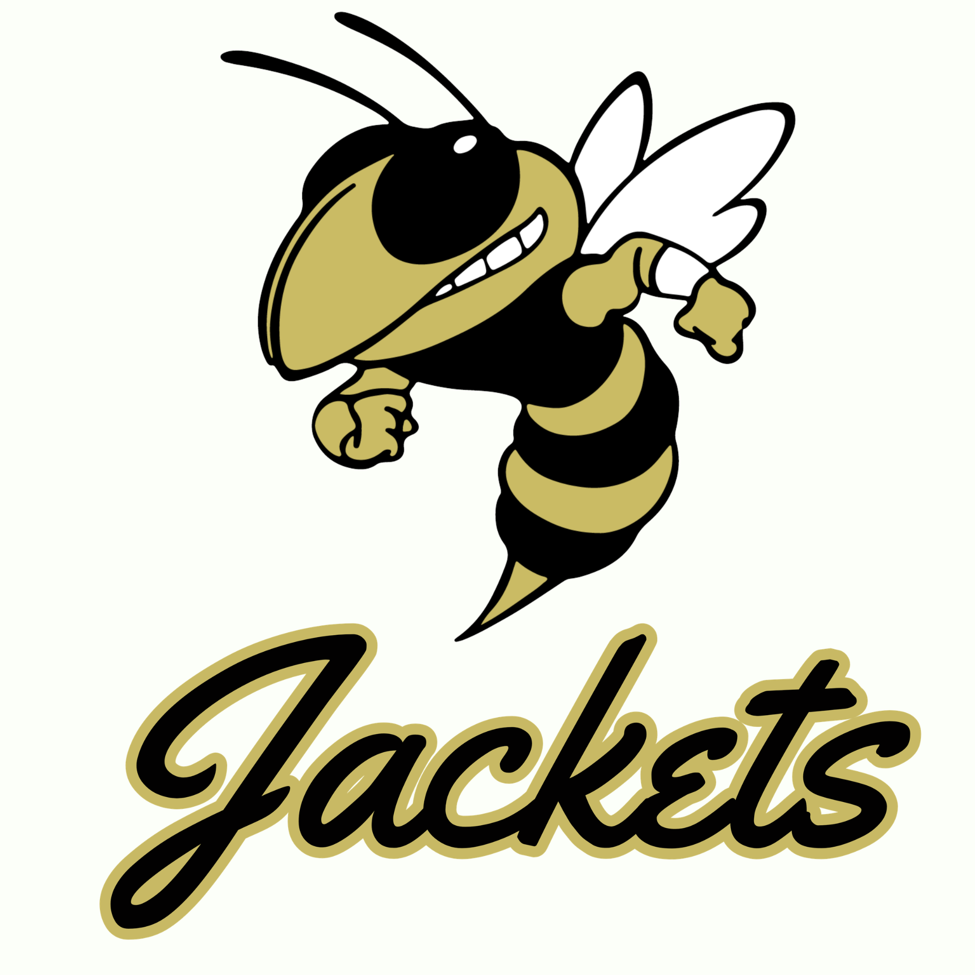Stinger Jackets Decal Option 2