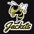 Stinger Jackets Decal